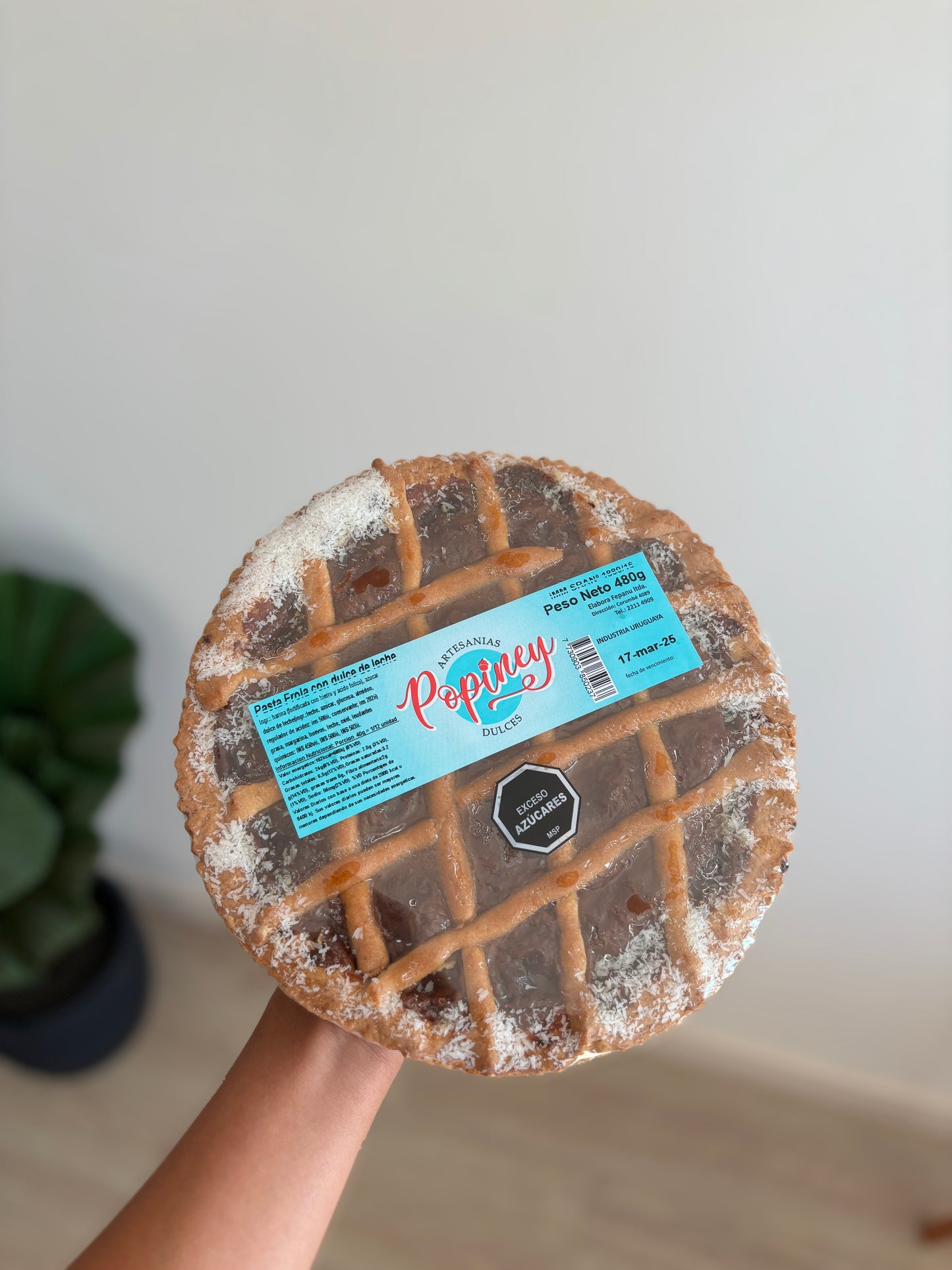 Pasta frola de dulce de leche